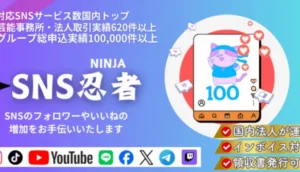 SNS忍者